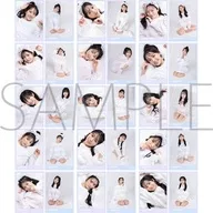 15-Type Set "STU48 Bromide Collection (2 Sheets)"