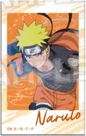 うずまきナルト 「NARUTO-ナルト- 疾風伝 描き下ろしミニフォトコレクション 修業ver.vol.1」