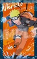 うずまきナルト 「NARUTO-ナルト- 疾風伝 描き下ろしミニフォトコレクション 修業ver.vol.2」