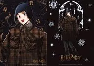 2. Ron Weasley Bromide 2-pack "Harry Potter Bromide Collection (2025)"