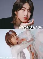 Habu Mizuho 2 Postcards Set "櫻坂 46 『 BACKS LIVE! 』"