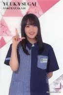 菅井友香(櫻坂46) クリアポストカード ローソン・Loppi・HMV限定