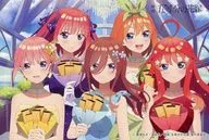 [Single Item] Collection postcard "Eiga The Quintessential Quintuplets x Mikado Honpo collaboration plan No. 2 Kasutera Rusk" bundled item