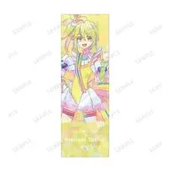 プリンセス・ミーティア Ani-Art clear label ホログラムチケット風カード 「プリンセッション・オーケストラ」