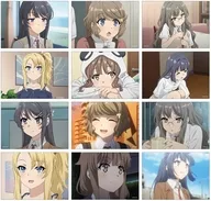 [Box] Rascal Does Not Dream of Bunny Girl Senpai Trading Scene photograph Bromide