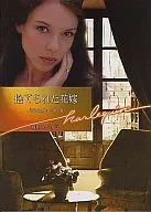 被抛弃的新娘