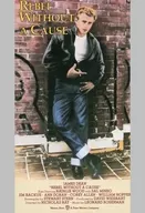 REBEL WITH OUT A CAUSE [輸入盤]