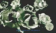 globe/globeツアー1999 Relation