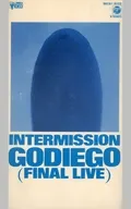 GODAIGO/INTERMISSION-FI