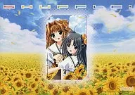 ミネオラ嬢/シトラス嬢「SHUFFLE! [台紙付き]」 オフィシャル通販特典