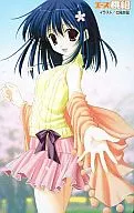 共1名Ace桃組2004 Spring全預