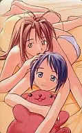 [A la carte] Narisegawa Naru/Maehara Shinobu "Love Hina / Pinus densiflora Ken" COMMEMORATIVE TELEPHONE CARD COLECTION 1999