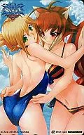 Noel = Vermilion / makoto = Nanaya "BLAZBLUE CONTINUUM SHIFT EXTEND" Sofmap privilege