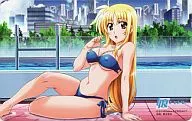 [A la carte] Destino "Magic Girl Lyric Nanoha StrikerS / hashimoto Takayoshi" Musume TYPE