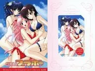 Miharu/桐繪/Koyomi