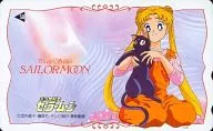 月野うさぎ/ルナ「美少女戦士セーラームーン」