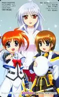 Takamachi Hanahana / Hakami Hayate / Reinforce "Magical Girl Lyrical NANOHA A's / Yasuhiro Okuda" Megami Magazine Vol. 118 All Pres