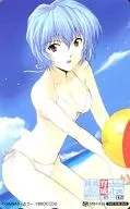 Ray Ayanami "Neon Genesis Evangelion Ayanami Raising Plan with asuka Supplemental Plan DS" Sofmap Benefits
