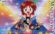 ミル・ヴァルナ王女/計8名「MAZE☆爆熱時空/あかほりさとる」