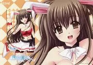 望月紀奈子「俺たちに翼はない [台紙付き]」 C77