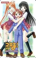 Kagurazaka Asuka / Negi / Springfield / Konoka Konoe "Maho Sensei Negima! : 2 Hours of Fighting Otome! Maho Great Athletic Day SP!"