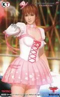Kasumi "Dead or Alive 5 ULTIMATE" Sofmap Privilege