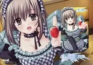 玉泉日和子「俺たちに翼はない [台紙付き]」 流通特典