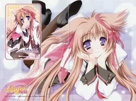 泉戸ましろ「タユタマ [台紙付き]」 PC Angel neo 誌上通販品