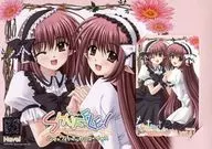 リシアンサス「SHUFFLE! Essence+ [台紙付き]」 DreamParty2008春