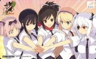 En / Katsuragi / IKARUGA / 5 persons in total "SENRAN KAGURA Burst - Red Lotus Girls -" store privileges common to stores