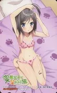 Tsukiko TSUTSU' The "Hentai" Prince and the Stony Cat. / Iizuka Haruko' Gamers special bonus