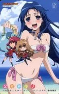 川岛亚美/栉枝实乃梨/逢坂大河Gamers DVD第5-8卷联动购入特典
