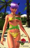 Ayane "DEAD OR ALIVE Paradise" Messe San-oh special gift