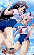 Zhou Tai / Son 尚香 "Shin Koihime † Musso - Otome Dairan -" Gamers DVD/Blu-ray Bônus especial para a compra de todos os volumes