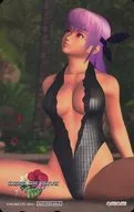 Ayane "DEAD OR ALIVE Paradise" Amiami special bonus