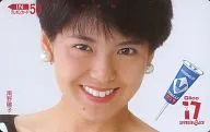 南野洋子