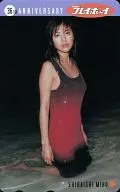 白石美帆周刊花花公子全部预演