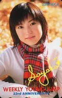 SAYAKA(神田沙也加)"周刊Young Jump 23 rd ANNIVERSARY