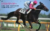 Tokai Teio "Annual Representative Horse Series / PRC (Central Racing Public Relations Center)"