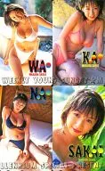 (4枚組) 「酒井若菜」 週刊ヤングサンデー抽プレ