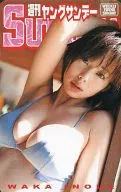周刊Young聖代燉煮
