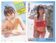 「原幹恵 [トレカ付き]」 ヤングチャンピオン 全プレ