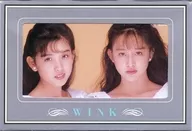 Sachiko Suzuki / Shoko Aita "Wink [with mount]"