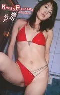 "Kyoko Fujikawa"