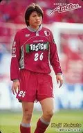 Koji Nakata "KASHIMA Antlers / Kashima Antlers"