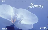 「 Memory / Phalaenopsis 」