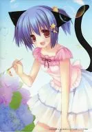 [Original] A4 Clear Underlay Sunshine Creation 48 / Clear Studio