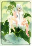 [Original] B5 Shitajiki Lotus Leaf to Shojo (Azumi Fuyudome) / K-BOOKS