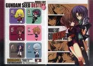 [Gundam SEED DESTINY] A4 clear file (Takewakamaru) 2004/RIRIADOLL