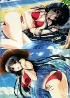 [Original] A4 clear file swimming ver. (Akinoshin) C84/Neko Jarashi